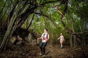 BIB: 
                            <button type="button" onclick="openModal(22178581)" class="btn btn-primary btn-sm float-right btn-popup" data-toggle="modal" data-target=".modal-high-quality">
                        <i class="fas fa-shopping-cart"></i> Add to Cart
                    </button>
                                            <button type="button" onclick="isThisMe(22178581, true)" class="btn btn-success btn-sm float-right btn-popup btn-isme hidden" data-toggle="tooltip" data-placement="bottom" title="นี่คือรูปของคุณใช่ไหม คลิกที่นี่เพื่อเอาเข้าอัลบั้ม">
                        <i class="fas fa-plus"></i> Add to album
                    </button>
                    <button type="button" onclick="isThisMe(22178581, false)" class="btn btn-warning btn-sm float-right btn-popup btn-isnotme hidden">
                        <i class="fas fa-ban"></i> Remove from album
                    </button>